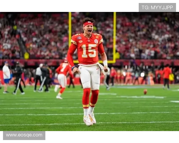 全球顶级橄榄球运动员名单与实力分析 2025年赛季最强球员盘点