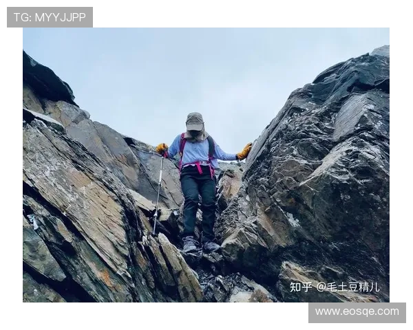 登山入门必备技巧与安全知识全解析帮助你轻松迈出第一步