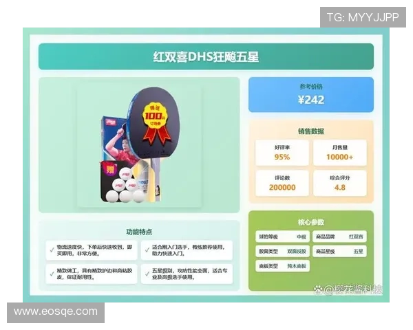 全面解析高性价比乒乓球装备推荐助你打造专业竞技水平