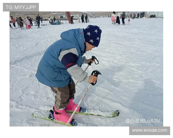 逆风飞扬少年以滑雪之梦征服冰雪世界书写不屈人生传奇
